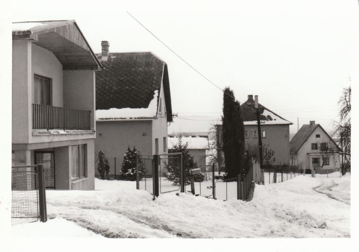 80-t� l�ta 20. st.