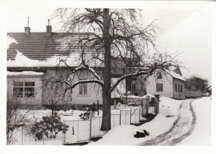 80-t� l�ta 20. st.