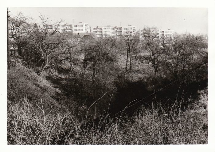 80-t� l�ta 20. st.