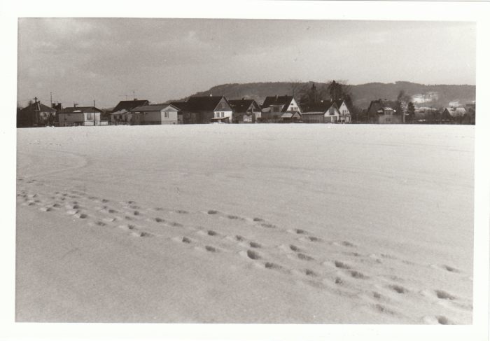 80-t� l�ta 20. st.